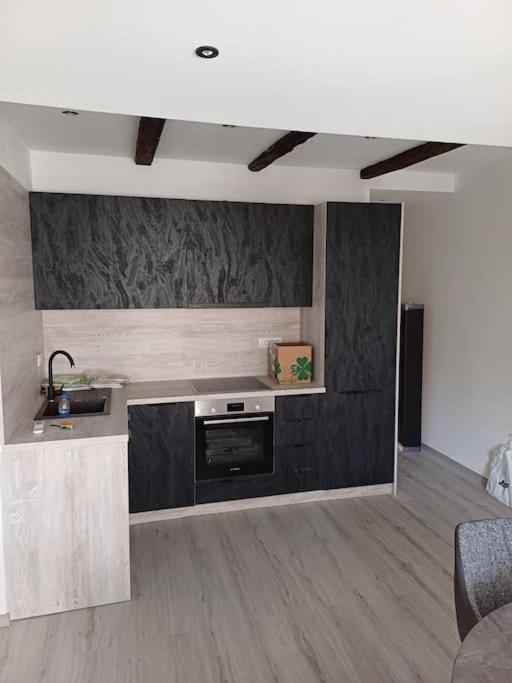 Apartman Ena Radiceva Zágráb Kültér fotó
